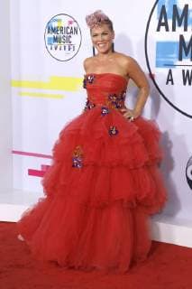Pink at the award Ceremony the 44 American Music Awards in Microsoft Theatre Los Angeles 19 11 2017 Foto:xD.xBedrosianx xFuturexImage