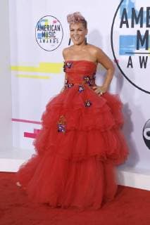 Pink at the award Ceremony the 44 American Music Awards in Microsoft Theatre Los Angeles 19 11 2017 Foto:xD.xBedrosianx xFuturexImage