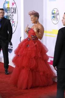 Pink at the award Ceremony the 44 American Music Awards in Microsoft Theatre Los Angeles 19 11 2017 Foto:xD.xBedrosianx xFuturexImage