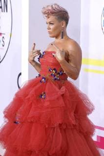 Pink at the award Ceremony the 44 American Music Awards in Microsoft Theatre Los Angeles 19 11 2017 Foto:xD.xBedrosianx xFuturexImage