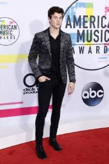 Shawn Mendes at the award Ceremony the 44 American Music Awards in Microsoft Theatre Los Angeles 19 11 2017 Foto:xD.xBedrosianx xFuturexImage