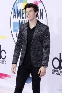 Shawn Mendes at the award Ceremony the 44 American Music Awards in Microsoft Theatre Los Angeles 19 11 2017 Foto:xD.xBedrosianx xFuturexImage