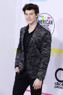 Shawn Mendes at the award Ceremony the 44 American Music Awards in Microsoft Theatre Los Angeles 19 11 2017 Foto:xD.xBedrosianx xFuturexImage