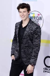 Shawn Mendes at the award Ceremony the 44 American Music Awards in Microsoft Theatre Los Angeles 19 11 2017 Foto:xD.xBedrosianx xFuturexImage