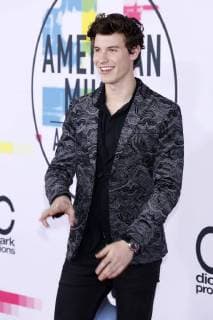 Shawn Mendes at the award Ceremony the 44 American Music Awards in Microsoft Theatre Los Angeles 19 11 2017 Foto:xD.xBedrosianx xFuturexImage