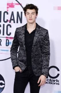 Shawn Mendes at the award Ceremony the 44 American Music Awards in Microsoft Theatre Los Angeles 19 11 2017 Foto:xD.xBedrosianx xFuturexImage