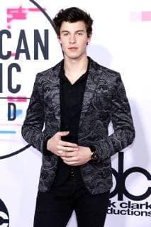 Shawn Mendes at the award Ceremony the 44 American Music Awards in Microsoft Theatre Los Angeles 19 11 2017 Foto:xD.xBedrosianx xFuturexImage