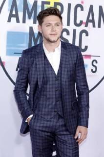 Niall Horan at the award Ceremony the 44 American Music Awards in Microsoft Theatre Los Angeles 19 11 2017 Foto:xD.xBedrosianx xFuturexImage
