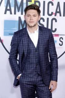 Niall Horan at the award Ceremony the 44 American Music Awards in Microsoft Theatre Los Angeles 19 11 2017 Foto:xD.xBedrosianx xFuturexImage