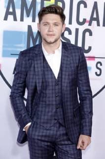 Niall Horan at the award Ceremony the 44 American Music Awards in Microsoft Theatre Los Angeles 19 11 2017 Foto:xD.xBedrosianx xFuturexImage