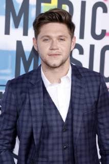 Niall Horan at the award Ceremony the 44 American Music Awards in Microsoft Theatre Los Angeles 19 11 2017 Foto:xD.xBedrosianx xFuturexImage