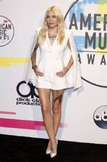 Skylar Grey at the award Ceremony the 44 American Music Awards in Microsoft Theatre Los Angeles 19 11 2017 Foto:xD.xBedrosianx xFuturexImage