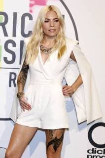 Skylar Grey at the award Ceremony the 44 American Music Awards in Microsoft Theatre Los Angeles 19 11 2017 Foto:xD.xBedrosianx xFuturexImage
