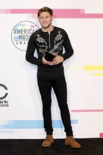 Niall Horan at the award Ceremony the 44 American Music Awards in Microsoft Theatre Los Angeles 19 11 2017 Foto:xD.xBedrosianx xFuturexImage
