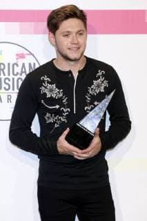 Niall Horan at the award Ceremony the 44 American Music Awards in Microsoft Theatre Los Angeles 19 11 2017 Foto:xD.xBedrosianx xFuturexImage