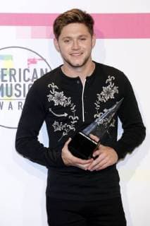 Niall Horan at the award Ceremony the 44 American Music Awards in Microsoft Theatre Los Angeles 19 11 2017 Foto:xD.xBedrosianx xFuturexImage