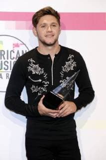 Niall Horan at the award Ceremony the 44 American Music Awards in Microsoft Theatre Los Angeles 19 11 2017 Foto:xD.xBedrosianx xFuturexImage