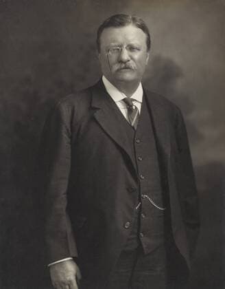 September 26, 2017 - Theodore Roosevelt, Three-Quarter Length Portrait, 1913 - ZUMAg145 20170926_zza_g145_023 Copyright: xJTxVintagex