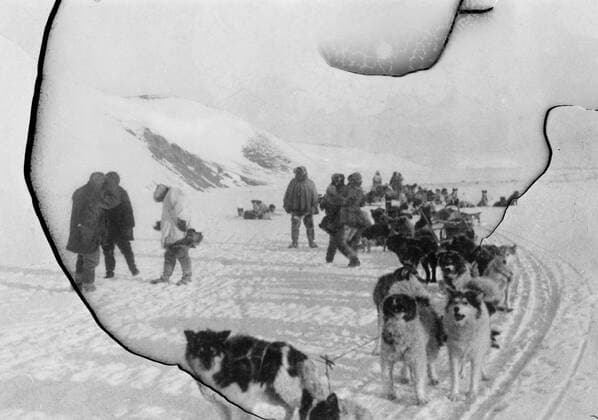 SS Chelyuskin a Soviet steamship sent out on an expedition to navigate through polar ice along the Northern Maritime Route from Murmansk to Vladivostok that became ice-bound in Arctic waters during navigation it was caught in the ice fields in September. After that it drifted in the ice pack before sinking on February 13, 1934, crushed by the icepacks near Kolyuchin Island in the Chukchi Sea. The crew managed to escape onto the ice and built a makeshift airstrip using only a few spades, ice shovels and two crowbars , which helped in the rescue of the crew of the . Fifty three men walked over the ice with stores on husky sleds . 24 March 1934, Russia Federation Copyright: Topfoto  UnitedArchivesEU035763