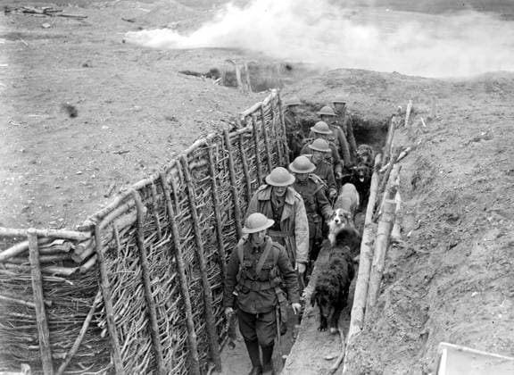 Training dogs at the War Dog s Training School at Lyndhurst. Taking dogs through the trenches. 26 April 1919, Lyndhurst Hampshire United Kingdom England Copyright: Topfoto  UnitedArchivesEU057044