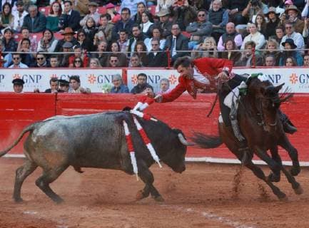 The Spanish mounted bullfighter Pablo Hermoso de Mendoza deals with his first bull of the afternoon Olivo of 491 Kg, during the second run of the Great Season 2017-2018, in Mexico City, Mexico, 26 November 2017. 2017-2018 Big Season of bulls, in Mexico !ACHTUNG: NUR REDAKTIONELLE NUTZUNG!  Copyright: xMarioxGuzmanx MEX02 20171127-636473560424080517