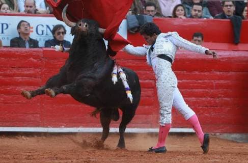 The Mexican bullfighter Leo Valadez deals with his first bull of the afternoon Arrogant of 477 Kg, during the second run of the Great Season 2017-2018, in Mexico City, Mexico, 26 November 2017. 2017-2018 Big Season of bulls, in Mexico !ACHTUNG: NUR REDAKTIONELLE NUTZUNG!  Copyright: xMarioxGuzmanx MEX02 20171127-636473561065240517