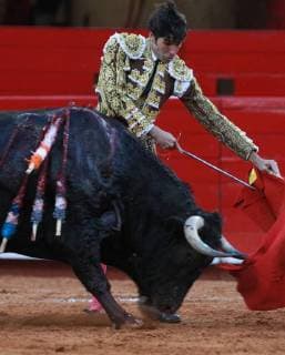 The Spanish bullfighter Cayetano Rivera deals with his first bull of the afternoon Baritono of 510 Kg, during the second run of the Great Season 2017-2018, in Mexico City, Mexico, 26 November 2017. 2017-2018 Big Season of bulls, in Mexico !ACHTUNG: NUR REDAKTIONELLE NUTZUNG!  Copyright: xMarioxGuzmanx MEX02 20171127-636473569187848517