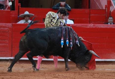 The Spanish bullfighter Cayetano Rivera deals with his first bull of the afternoon Baritono of 510 Kg, during the second run of the Great Season 2017-2018, in Mexico City, Mexico, 26 November 2017. 2017-2018 Big Season of bulls, in Mexico !ACHTUNG: NUR REDAKTIONELLE NUTZUNG!  Copyright: xMarioxGuzmanx MEX02 20171127-636473602514596517