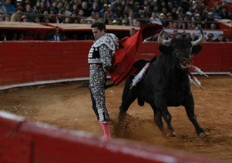 The Mexican bullfighter Arturo Saldivar deals with his first bull of the afternoon Bienvenido of 490 Kg during the second run of the Great Season 2017-2018, in Mexico City, Mexico, 26 November 2017. 2017-2018 Big Season of bulls, in Mexico !ACHTUNG: NUR REDAKTIONELLE NUTZUNG!  Copyright: xMarioxGuzmanx MEX02 20171127-636473603158096517