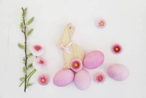 Hand dyed pink Easter eggs with bunny, daisy and catkin decoration on wooden background  GWF05262