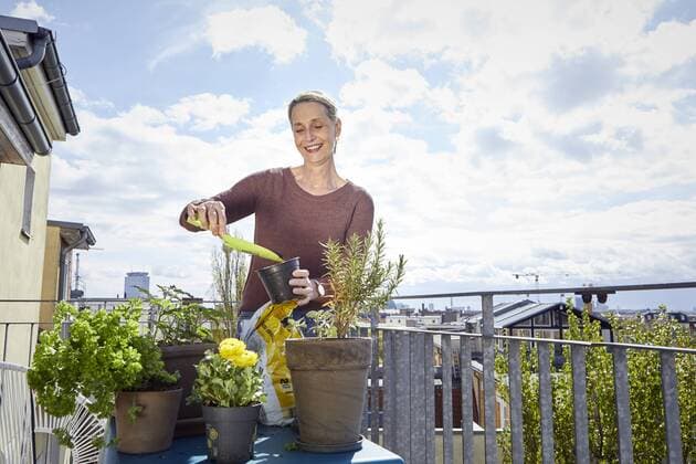 Smiling mature woman caring for plants on balcony model released Symbolfoto property released  RBF06053