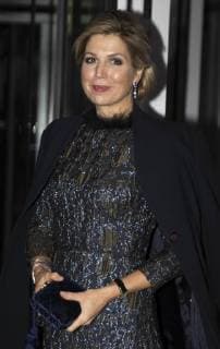 27-11-2017 Amsterdam Queen Maxima during the Prince Bernhard Cultuurfonds award at the Muziekgebouw aan ’t IJ in Amsterdam. The award, 150.000 euro, was presented to writer Geert Mak.  Copyright: xPPE WERFx