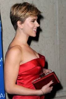 The Museum Of Natural History s 2017 Museum Gala at American Museum of Natural History on November 30, 2017 in New York City. Scarlett Johansson New York United States  563663