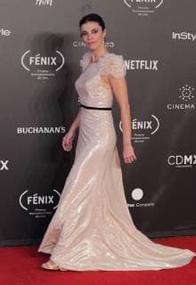 Spanish Actress Maribel Verdu poses during the presentation of the Fénix Awards of Iberoamerican Cinema 2017, in Mexico City, Mexico, 06 December 2017. The series Crows club , from the Netflix platform, received today the first of the awards given at the Fénix Awards of Ibero-American Cinema 2017, which for the first time recognized television productions. Fenix Awards in Mexico !ACHTUNG: NUR REDAKTIONELLE NUTZUNG!  Copyright: xMarioxGuzmánx MEX21 20171207-636482256109272252