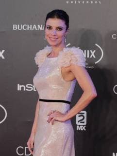 Spanish Actress Maribel Verdu poses during the presentation of the Fénix Awards of Iberoamerican Cinema 2017, in Mexico City, Mexico, 06 December 2017. The series Crows club , from the Netflix platform, received today the first of the awards given at the Fénix Awards of Ibero-American Cinema 2017, which for the first time recognized television productions. Fenix Awards in Mexico !ACHTUNG: NUR REDAKTIONELLE NUTZUNG!  Copyright: xMarioxGuzmánx MEX21 20171207-636482256127680252