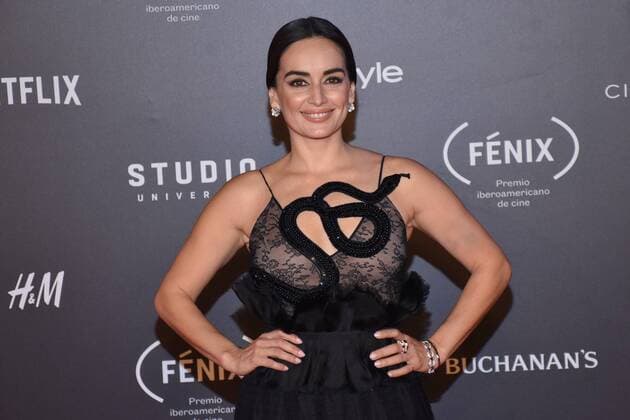 December 6, 2017 - Mexico City, Mexico, Mexico - Ana de la Reguera is seen arriving at red carpet of Fenix Film Awards on December 06, 2017 in Mexico City, Mexico Mexico City Mexico  - ZUMAn230 20171206_zaa_n230_404 Copyright: xCarlosxTischlerx
