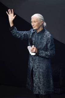 Jane Goodall at the presentation of the 10 German Sustainability Award 2017 at the Maritim Hotel Düsseldorf 08 12 2017 Foto:xF.xKernx xFuturexImage