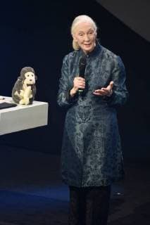 Jane Goodall at the presentation of the 10 German Sustainability Award 2017 at the Maritim Hotel Düsseldorf 08 12 2017 Foto:xF.xKernx xFuturexImage