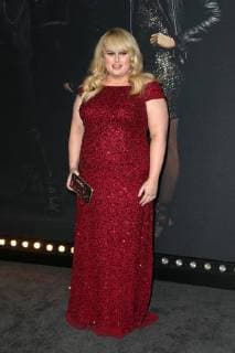 Bilder des Tages HOLLYWOOD, CA - DECEMBER 12: Rebel Wilson at the Pitch Perfect 3 premiere at The Dolby Theatre in Hollywood, California on December 12, 2017. Copyright: xFayexSadoux