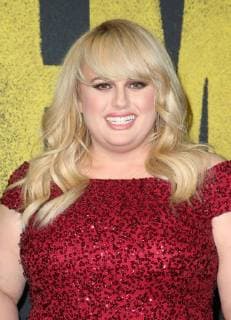 HOLLYWOOD, CA - DECEMBER 12: Rebel Wilson, at Premiere Of Universal Pictures Pitch Perfect 3 at The Dolby Theatre in Hollywood, California on December 12, 2017. Copyright: xFayexSadoux