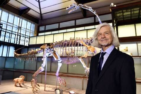 palaeontologist Ben Pabst poses for the photographer during the presentation of the skeleton of a Plateosaurus dinosaur named Ben, at the Museum of Natural Sciences (Museum voor Natuurwetenschappen - Musee des Sciences naturelles) in Brussels, Thursday 14 December 2017.  ERICxLALMAND 05218429