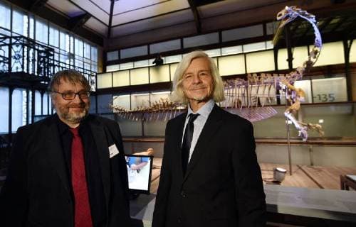 palaeontologist Pascal Godefroit and palaeontologist Ben Pabst pose for the photographer during the presentation of the skeleton of a Plateosaurus dinosaur named Ben, at the Museum of Natural Sciences (Museum voor Natuurwetenschappen - Musee des Sciences naturelles) in Brussels, Thursday 14 December 2017.  ERICxLALMAND 05218427