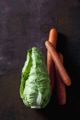 Sweetheart cabbage and carrots on dark background  CSF28402