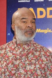 January 6, 2018 - Los Angeles, California, United States - January 6th 2018 - Los Angeles, California USA - Actor DAVID ALAN GRIER at Paddington 2 Premiere held at the Regency Village Theater, Westwood, CA. Los Angeles United States - ZUMAf05_ 20180106_zaf_f05_040 Copyright: xPaulxFentonx
