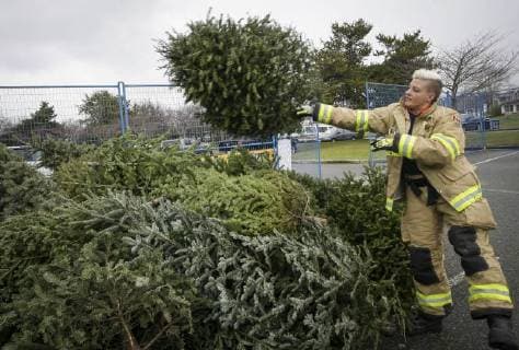 Bilder des Tages (180107) -- RICHMOND, Jan. 7, 2018 -- A firefighter gathers up the trees for recycling during the annual Christmas tree chipping event in Richmond, Canada, Jan. 6, 2018. Collected trees will be chipped and recycled for turning them into resources. ) (zcc) CANADA-RICHMOND-CHRISTMAS TREE-CHIPPING LiangxSen 