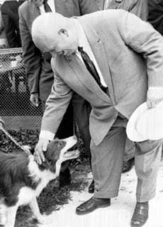 SOVIET PRIME MINISTER NIKITA KHRUSHCHEV WITH PET SHEEPDOG FLASH IN MOSCOW ; 28 MAY 1964, Copyright: Topfoto  UnitedArchivesIPU477756