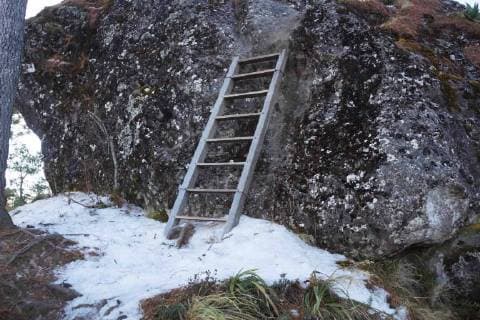 Wintereinbruch in Oaxaca, Mexiko January 15, 2018 - EUM20180115NAC02.JPG.OAXACA, Oax., Frost Helada-Oaxaca.- Aspectos de la helada que cayo sobre la Sierra Juarez de Oaxaca la manana de este lunes 15 de enero de 2018. El Servicio Meteorologico Nacional informo que durante el amanecer, las temperaturas oscilaron entre los -4 y -5 grados centigrados en esta region. Foto: Agencia EL UNIVERSAL EVZ  - ZUMAu78_ 20180115_zaf_u78_005 Copyright: xEdwinxHernandezx