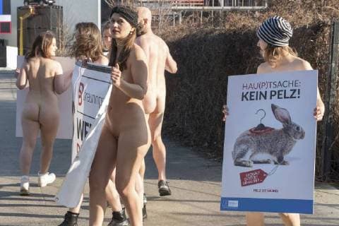 Activists of the German animal protection agencies protest the fashion week Berlin naked against the use of furs from the Berlin eWerk snapshot photography F Boillot