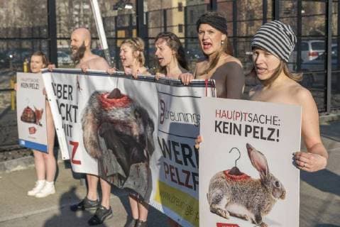 Activists of the German animal protection agencies protest the fashion week Berlin naked against the use of furs from the Berlin eWerk snapshot photography F Boillot