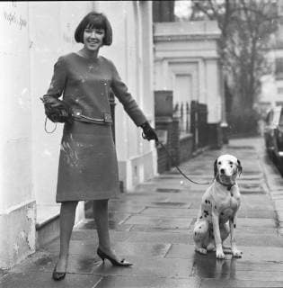 Mary Quant in Chelsea, London, 1963. (b. 1934.) The fashion queen of the 1960s, who brought the mini-skirt and hot pants into daily wear and pioneered affordable fun fashion for young people. With her pet dalmatian dog. Photograph by George Douglas, London United Kingdom England Copyright: Topfoto  !ACHTUNG AUFNAHMEDATUM GESCHÄTZT! UnitedArchives1373178